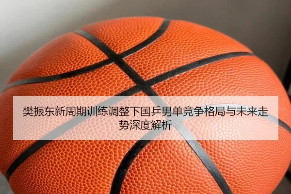 樊振东新周期训练调整下国乒男单竞争格局与未来走势深度解析