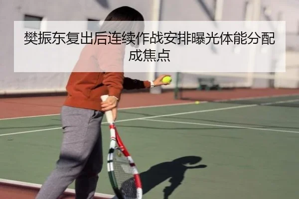 樊振东复出后连续作战安排曝光体能分配成焦点